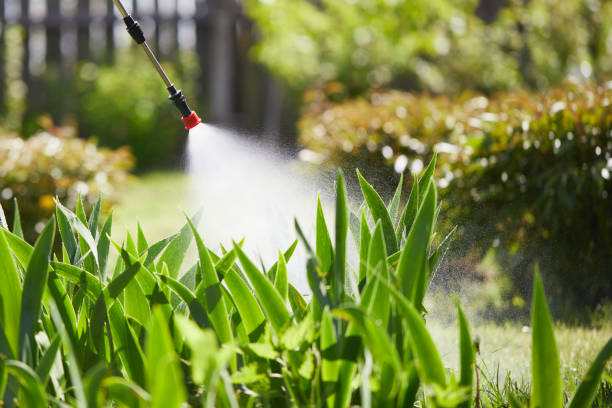 Tamper-Resistant Bait Stations for Rodents in Benton