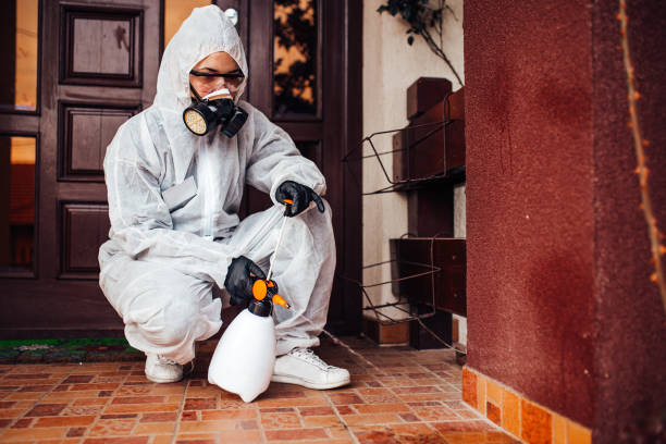 Attic and Crawl Space Rodent Treatment in Benton